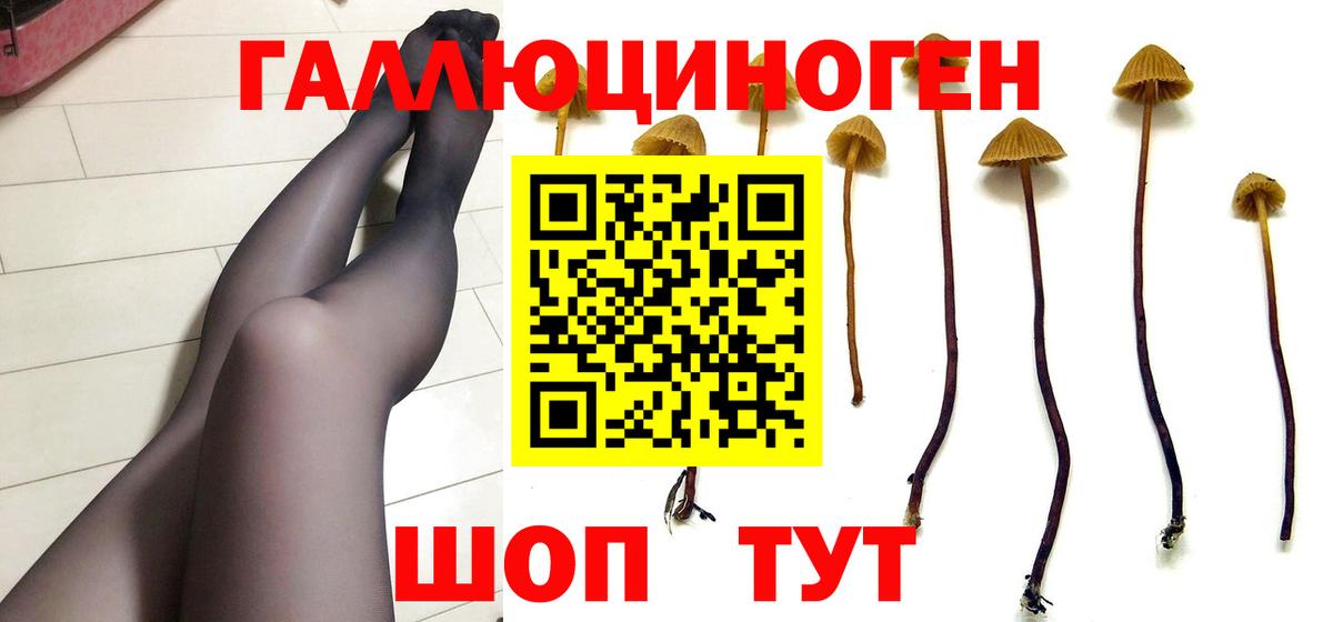 Галлюциногенные грибы Cubensis Торжок
